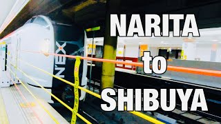 The FASTEST and EASIEST way from Narita Airport going to Shibuya Station