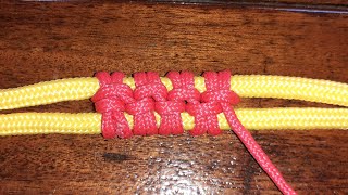 Trança Para Testeira Da Cabeçada.