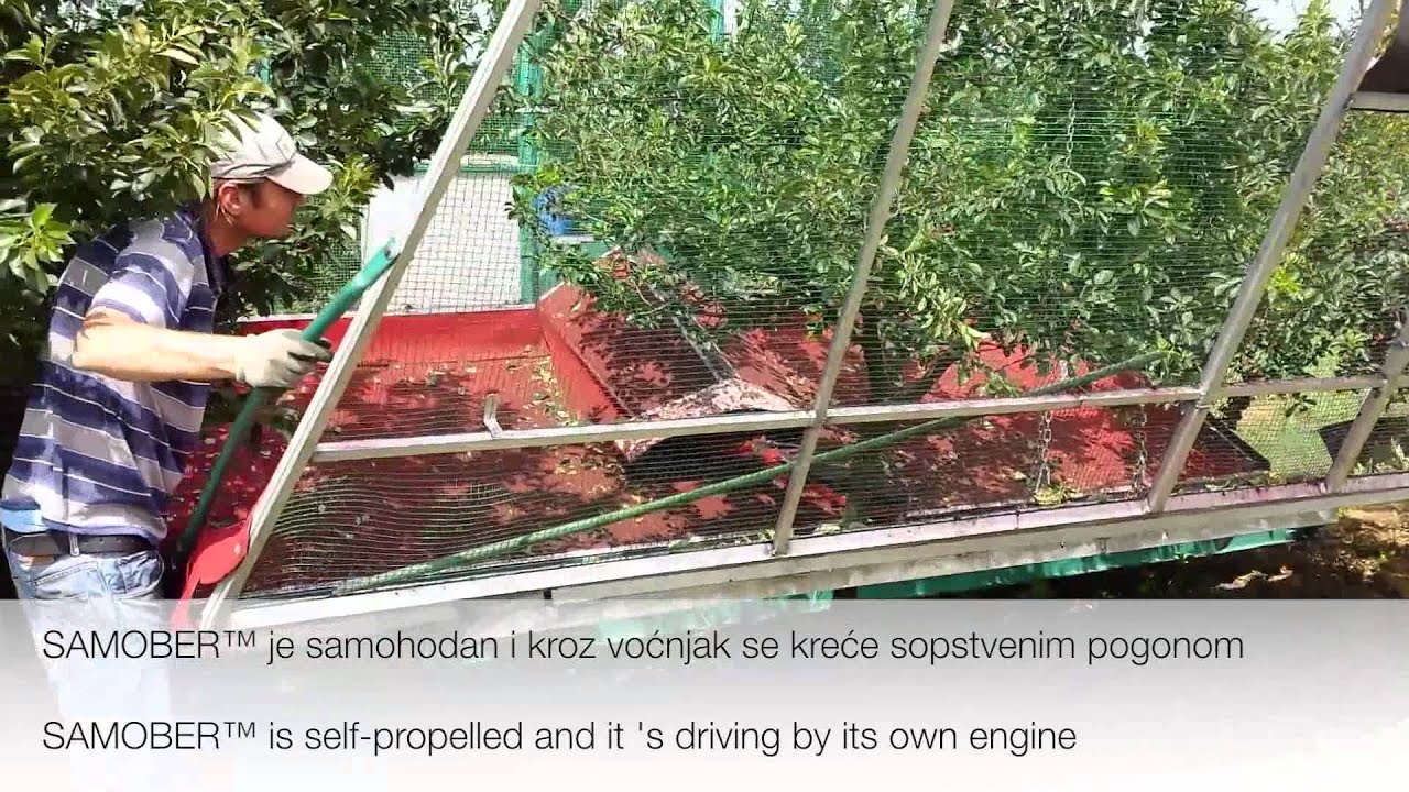 SAMOBER ™ - machine for cherry picking / shaking  Mašina za branje višanja, berač tresač za visnje