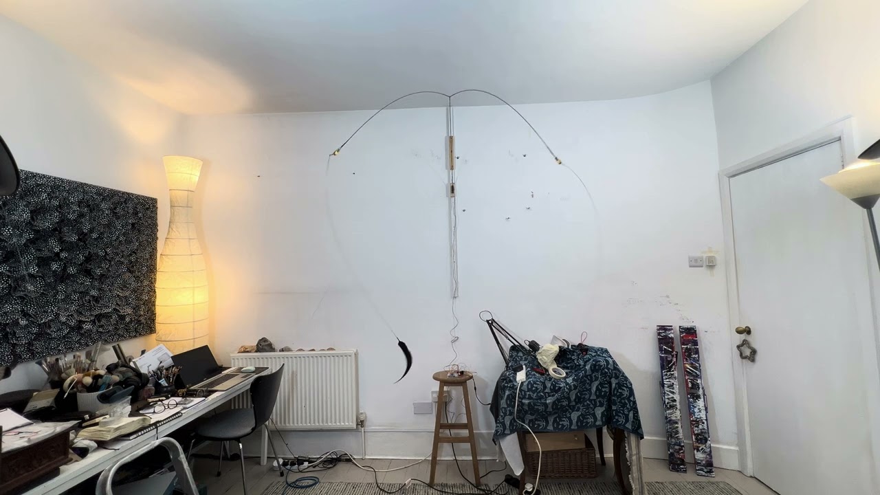 Bird 2026 2. Studio context. 