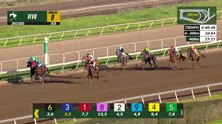 Vidéo de la course PMU ZARDOZ H.