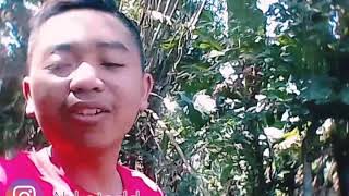 Video story'wa 3 (berjuang dewe lek ora bareng²)