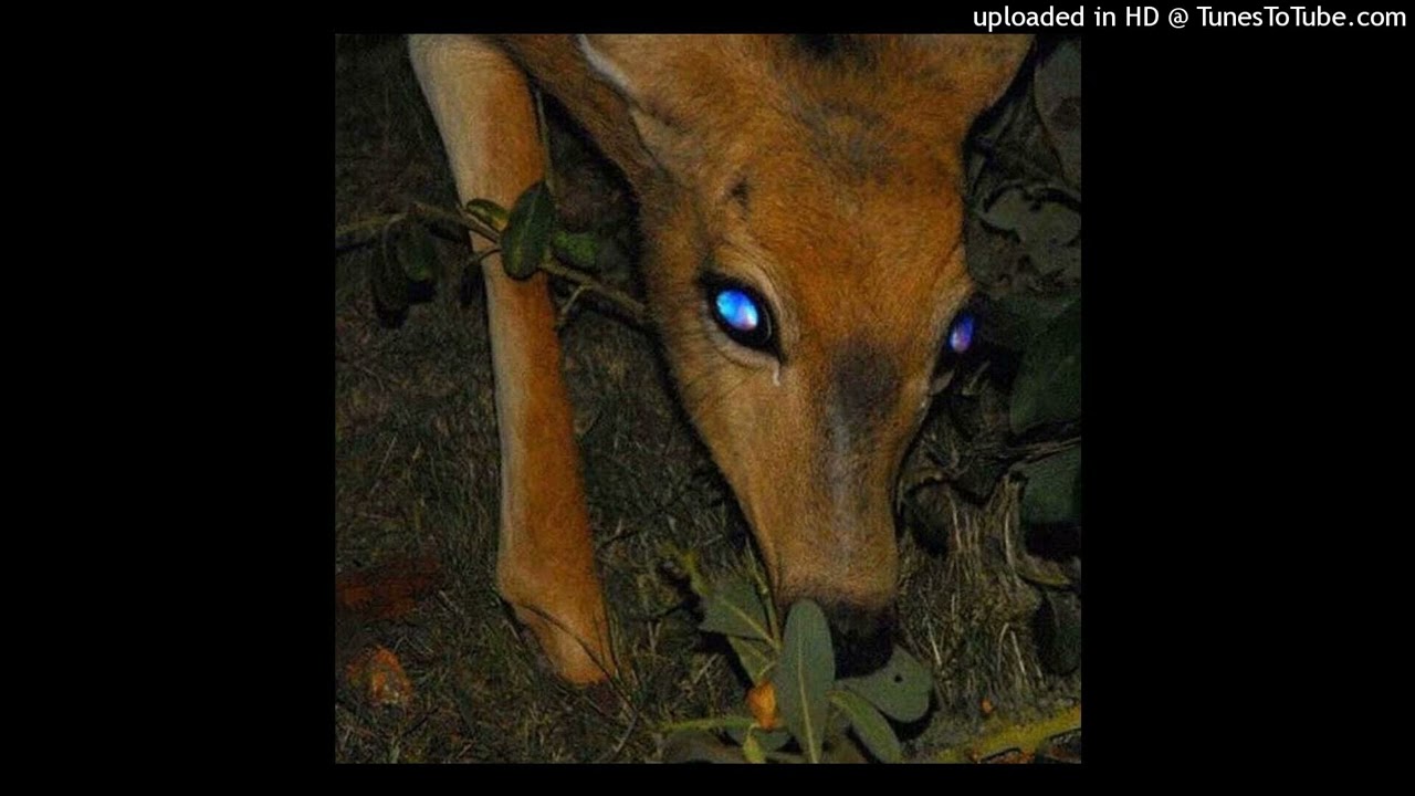 [FREE] QUEBONAFIDE TYPE BEAT 'TO KONIEC' | 2025