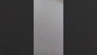 Astarada Maraqlı Toy