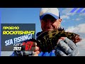 Пробую "Rockfishing" - с силиконом с берега 🔥 Рыбалка на Кипре 🇨🇾 Часть 67 Сезон 2022