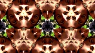 Es Una Ganga Fan Video