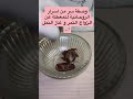 وصفة سر من اسرار الروحانية للمعطلة عن الزواج التمر و غاز النمل تيك توك سعوديه المغرب