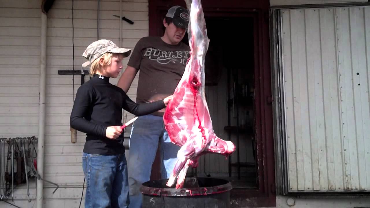 Wildlife Ranch, Mason, Texas Skinning a Ram 