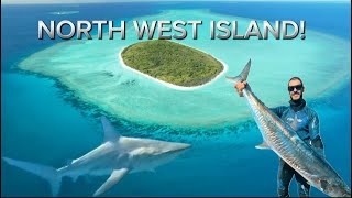 NORTH WEST ISLAND!!! Living off the ocean in this remote paradise! (QLD, Australia)