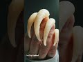 What Happens If You Never Cut Your Nails? #Nails #HealthFacts #HumanBody #ScienceFacts