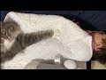 療養中の娘には優しく寄り添う猫　ノルウェージャンフォレストキャット　A cat gently snuggles up for a daughter during medical treatment