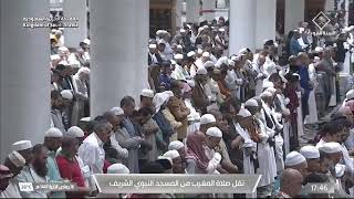 تلاوة لسورة التكوير للشيخ د. #صلاح_البدير | مغرب الأحد 16-6-1447هـ