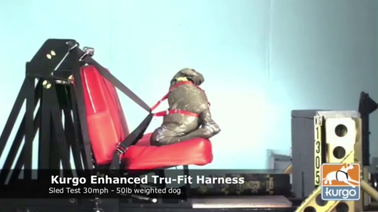 kurgo crash test