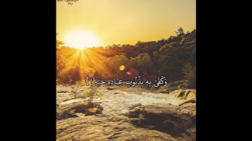 { وَمَا أَرْسَلْنَاكَ إِلَّا مُبَشِّرًا وَنَذِيرًا } القارئ عبدالله الموسى حالات واتساب تلاوة خاشعة