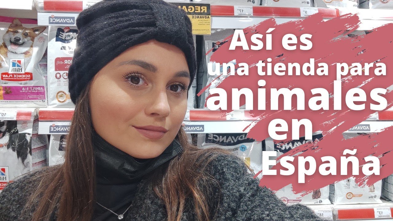Así es una tienda para animales en España (les cuento un poco sobre Cuba y el bienestar animal).