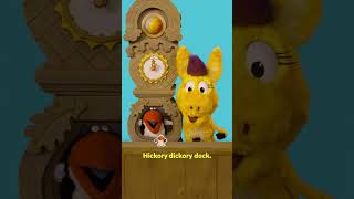 Hickory Dickory Dock 🐧🕰️ | Donkey Hodie | PBS KIDS #Shorts
