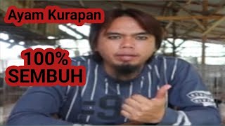 How to Treat Chicken Ringworm || ANTONI MEDAN