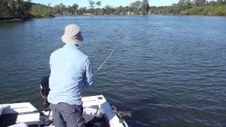 Flathead Fishing in the Brunswick River