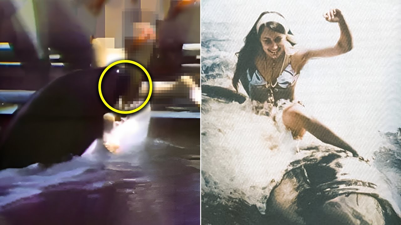 The Tragic Tale of a Orca That MAULED Sea World Trainer Annette Eckis