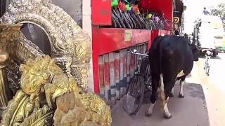 Вокзал, коровы, шопинг, лучшие шампуни, красные сумочки для Олечки Вокзал, коровы, шопинг, лучшие шампуни, красные сумочки для Олечки