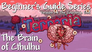 The Brain Of Cthulhu - All Difficulties Terraria 1.4