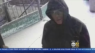 Suspects Sought In Queens Business Robberies