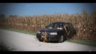 Famous Ricart Cornfield Commercial Profile