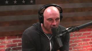 Joe Rogan and Jordan Peterson  talking about SORTING your life