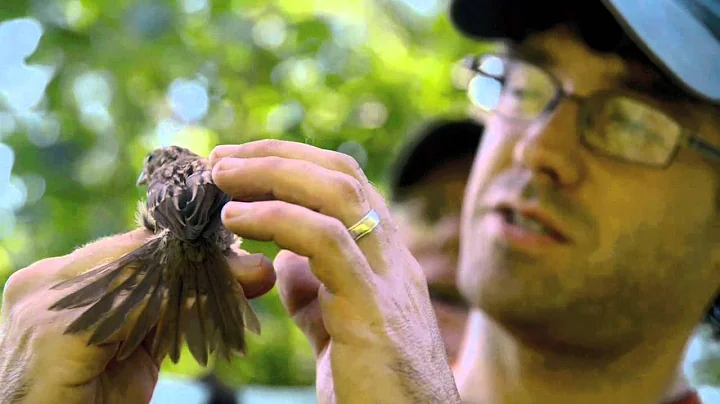Brian Olsen - The Changing Landscape of Birds
