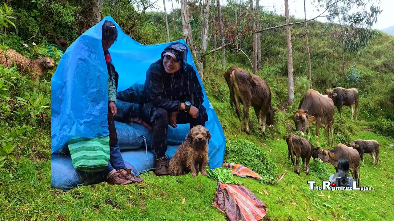 Llevamos a las Vaquitas a Pastear en Plena Lluvia | TitoRamirez