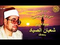 فضيلة الشيخ شعبان الصياد سورة الشمس       