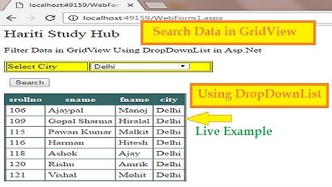 Search or Filter Data in GridView Using DropDownList in Asp.Net | Hindi