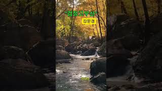 #감성힐링#7080추억#검정고무신#강문경. 시원한계곡물...!