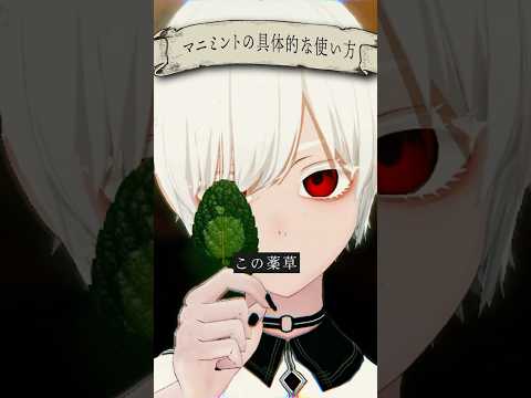 冒険者の常識！異世界の薬草マニミントを使った魔物避けの方法 #vrchat #Δ学派