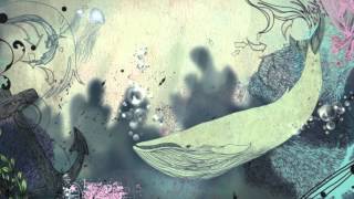 Micael Amarante - Balaenoptera