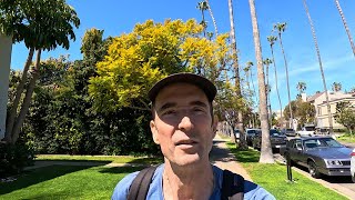 Free Energy Scam Thoughts + Talk with Jimmy Paine