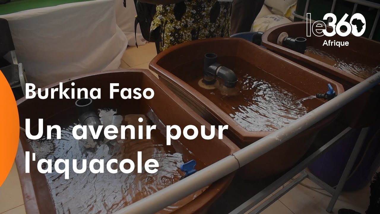 Burkina Faso: débuts prometteurs de la pisciculture et de l’aquaponie ...