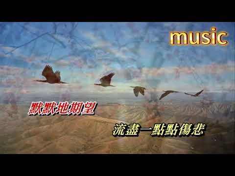 愛和夢 徐小鳳KTV 伴奏 no vocal 無人聲 music 純音樂 karaoke 卡拉OK 伴唱爱和梦 徐小凤