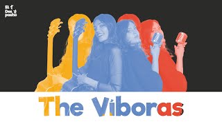 The Viboras - Tigres De Papel Directo Desde El Despacho