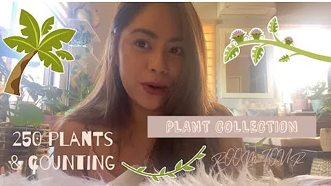 PLANT COLLECTION ROOM TOUR | Meet my babies | 250+ & counting