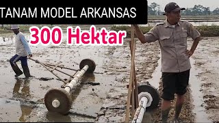 Tanam Padi Model Arkansas Luas 300 Hektar Brmp Sukamandi