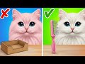 🐱 Smart Pet Gadgets & Adorable DIY Creations! ✨ Creative Craft Ideas