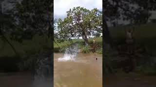 Banho De Rio, Vida De Infância Do Interior, Não Tem Medo Do Perigo. Inscreva-Se No C.