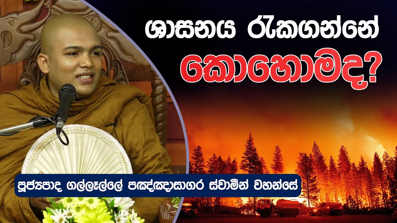 ශාසනය රැකගන්නේ කොහොමද ? | Dharma Deshana | Gallelle Panghasagara Thero | D 0700