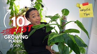 10 of my FASTEST growing plants & TIPS to speed up growth