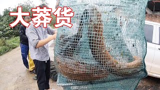 Xiaomao and his friend caught the eel off the net