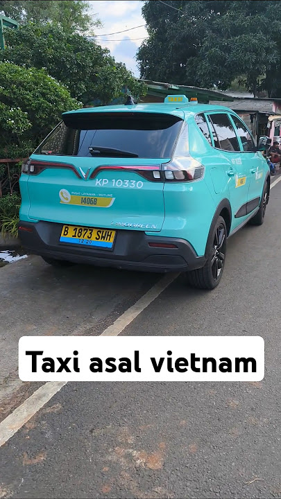 Taxi from Vietnam (rival of Blue Bird) #fyp #taxi