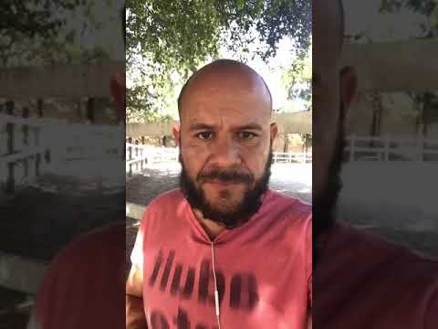 CAÑA VERDE (El cuate Noriega) video phone beyonce mp3