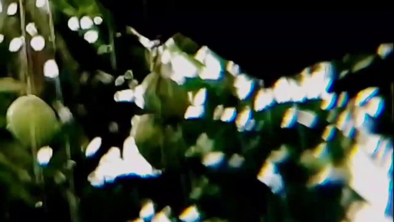 Heavy Rain for Deep Work • Natural Background Sound for Maximum Productivity