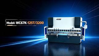 WC67K-125T3200 With E310P Controller NC Press Brake,Sheet Metal Bending Machine,Factory-direct sales